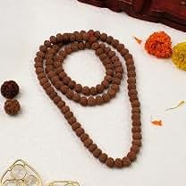 Rare Rudraksha